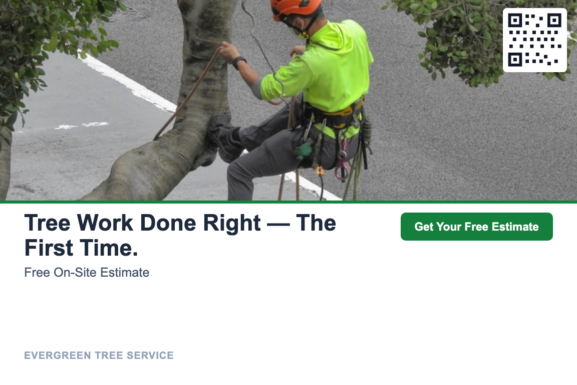 Tree Service postcard campaign example