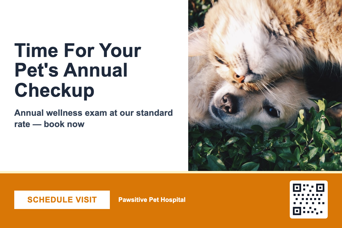 Veterinary Annual Wellness Recall postcard template &mdash; Bold style