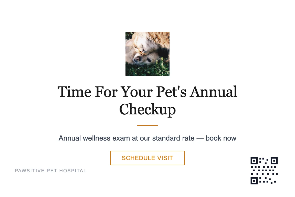 Minimal veterinary clinic postcard design: Annual Wellness Recall