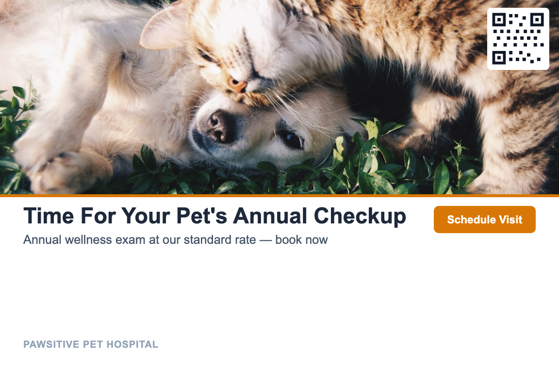 Veterinary Annual Wellness Recall postcard template &mdash; Photo style